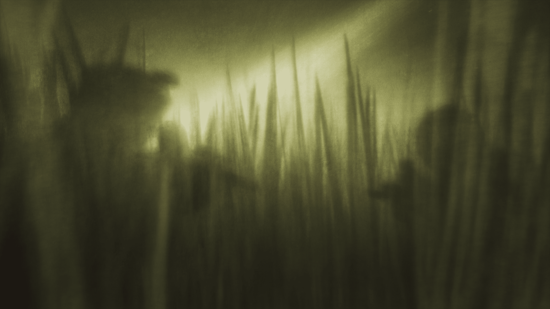 Image for project IN WAVES AND WAR