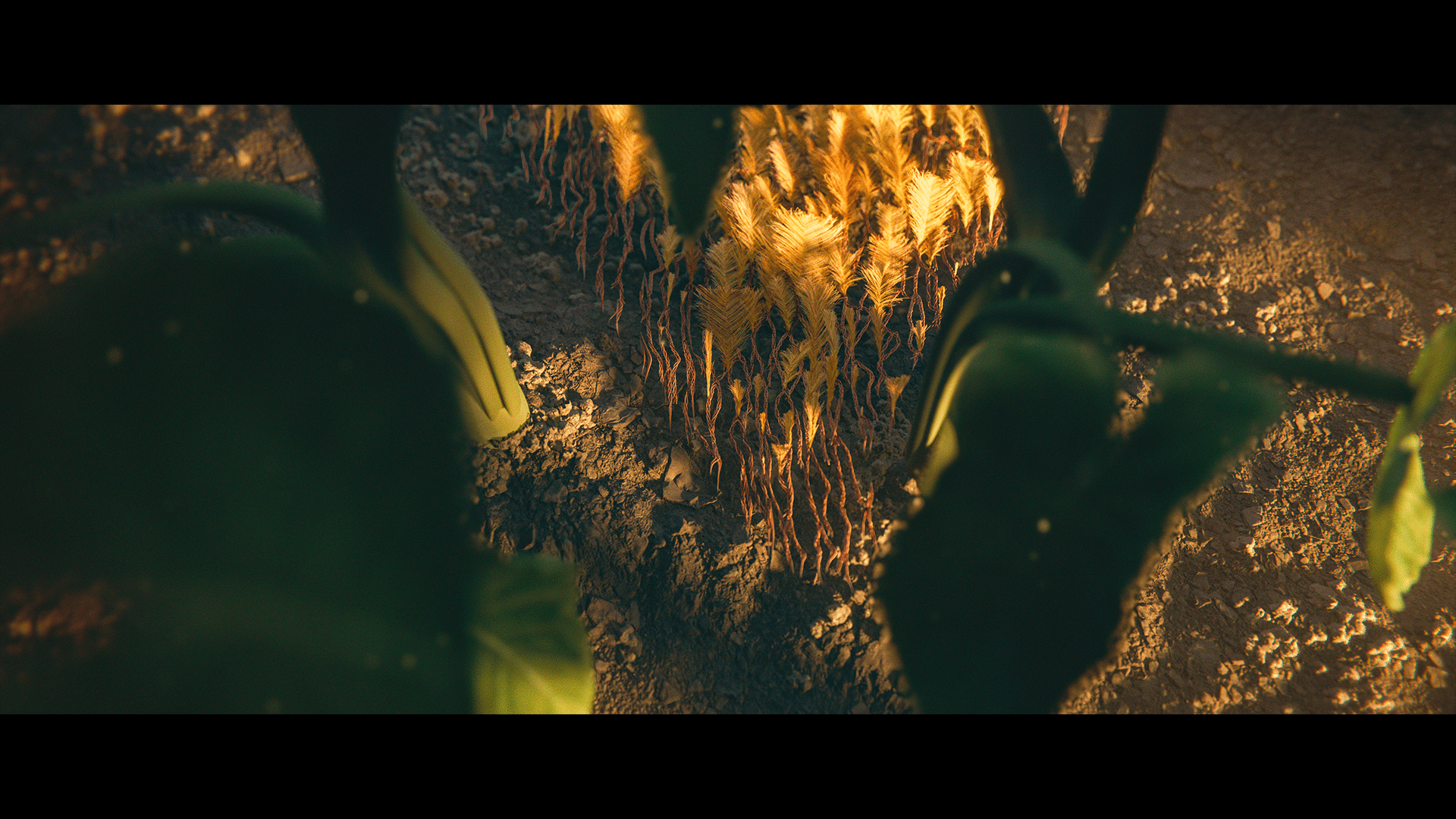 Image for project Chief Of War