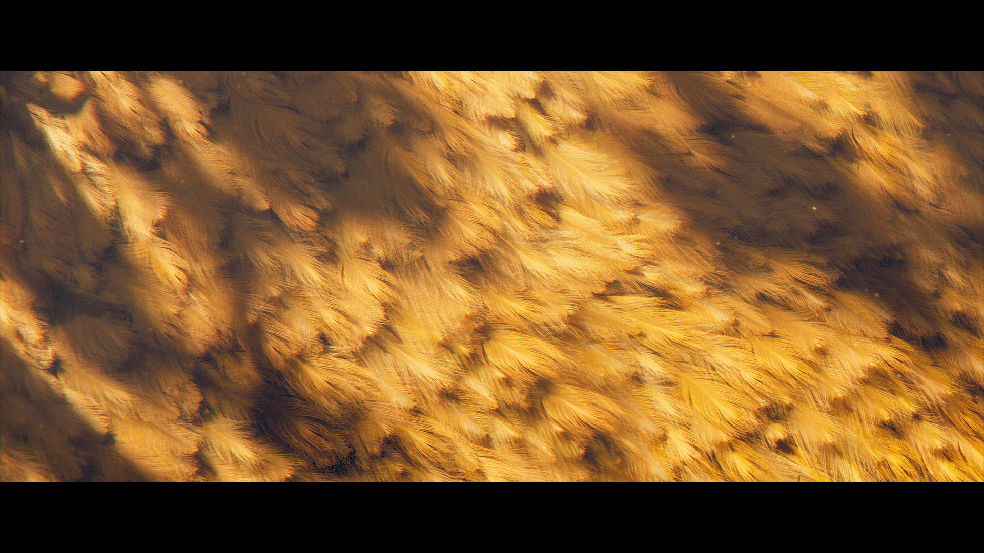 Image for project Chief Of War