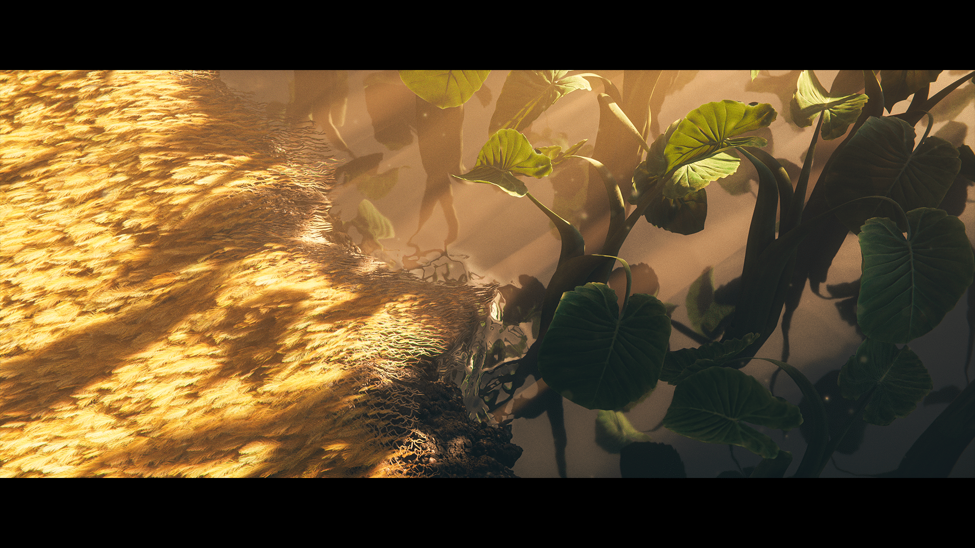 Image for project Chief Of War