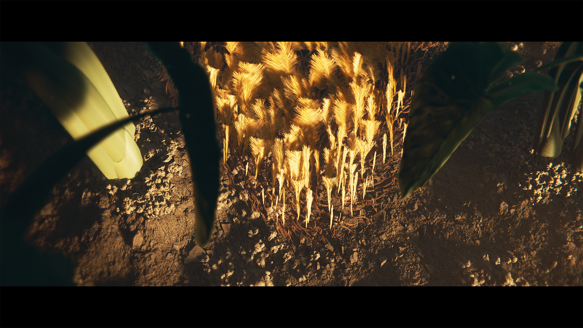 Image for project Chief Of War