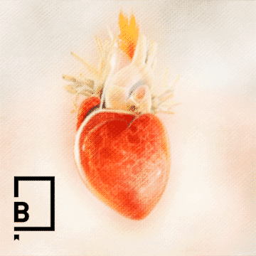 Image for When I fell in love ... Press Article